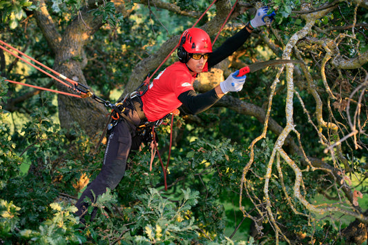Practice Safety When Climbing to Prevent a Fall – Find this article on MTN Shop US.
