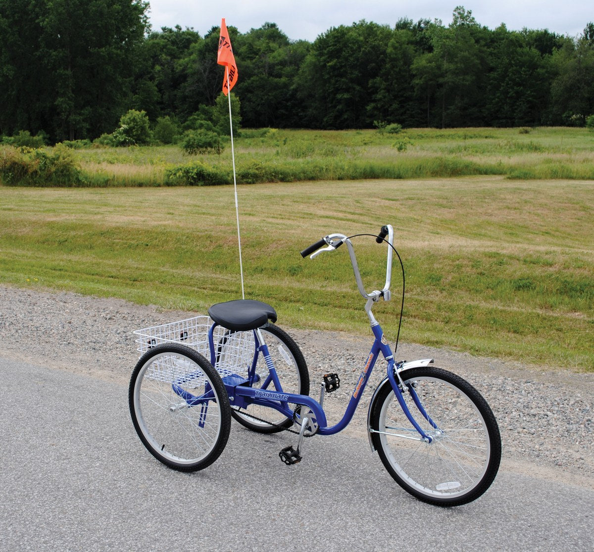 Bicicletas industriales Vestil Manufacturing Corp– – Ahora disponibles en MTN Shop US. - imagen 3