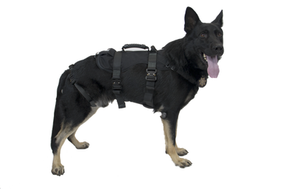 CMC K9 Proseries Rappel Arnés, arnés de rápel para perros de trabajo