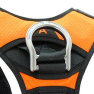 ARNESES KONG X-FIVE– – Ahora disponibles en MTN Shop US. - imagen 3