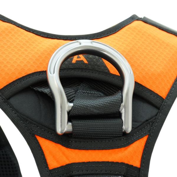 ARNESES KONG X-FIVE FAST– – Ahora disponibles en MTN Shop US. - imagen 5