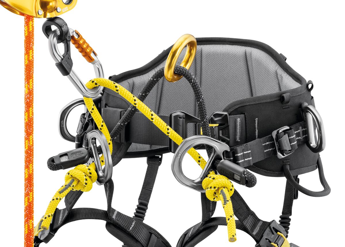 Petzl SEQUOIA attachment bridge with connectors and rope system for tree climbing - imagen 5