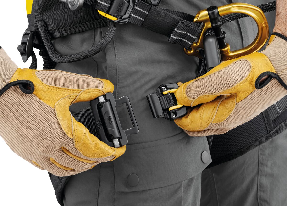 Arborist with gloves fastening the FAST waistbelt buckle on a Petzl SEQUOIA PLUS harness - imagen 5