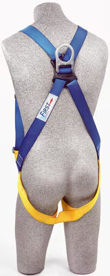 3M™ Protecta® P50 Vest Safety Harness AB17530, Universal– The 3M™ PROTECTA® Light Fall Protection Compliance Kit is a complete all purpose fall protection system in one handy container. Includes a lightweight basic harness with pass-thru buckle legs and a 6 ft single-leg shock absorbing lanyard. Shop now. – Now available at MTN Shop US.