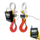 Eilon Engineering Ron Crane Scales™ Ron 2125 Báscula de grúa con cable y pantalla acoplable de 1"/25 mm