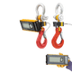 Eilon Engineering Ron Crane Scales™ Báscula de grúa con cable Ron 2150 con pantalla acoplable de 2"/50 mm