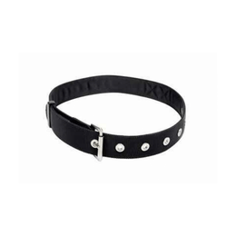 Cinturón para herramientas utilitarias 3M™ DBI-SALA®