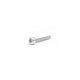 Tornillo Tapa Extremo Freno CM Prostar